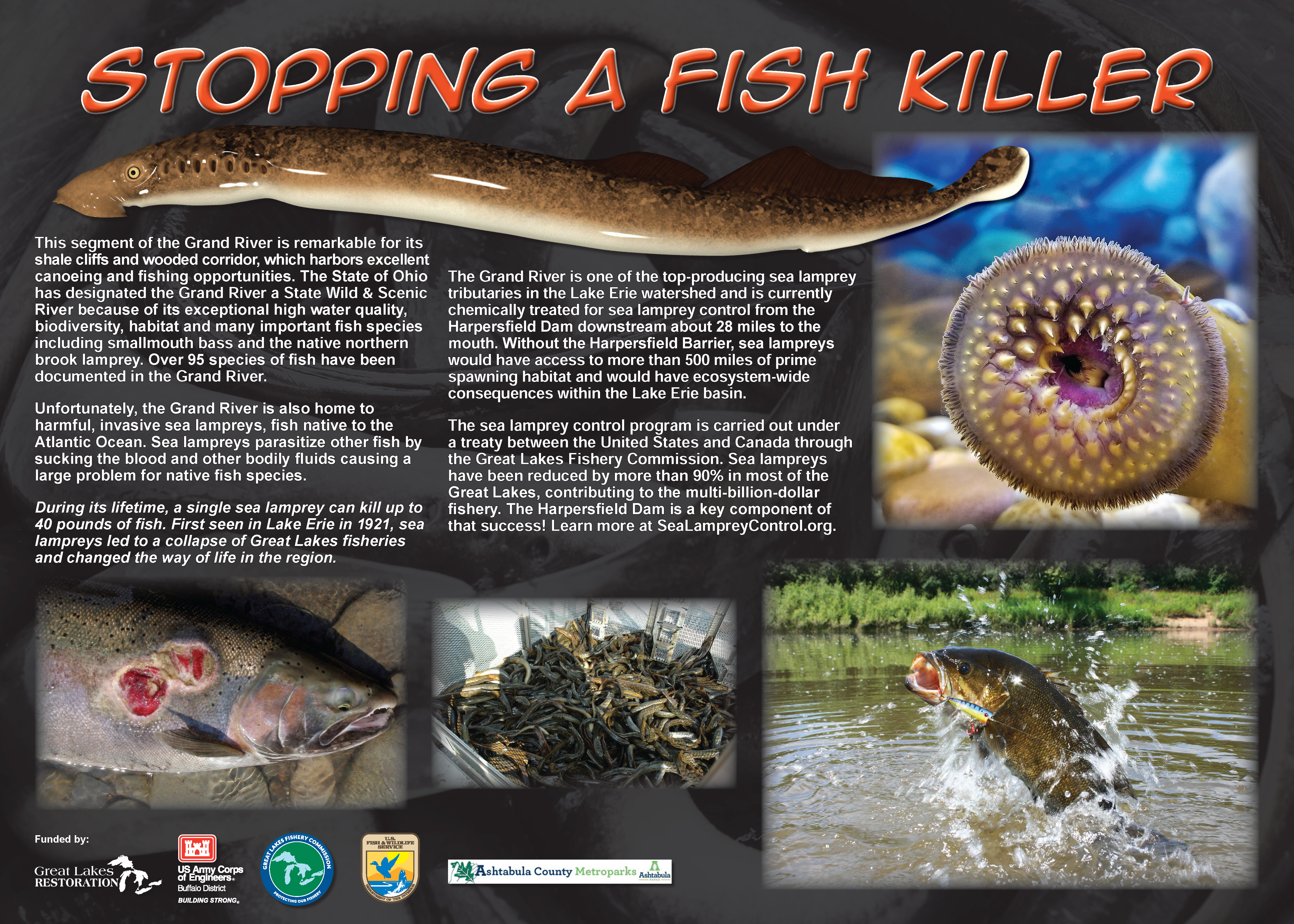 A photo of a sign with sea lamprey and fish